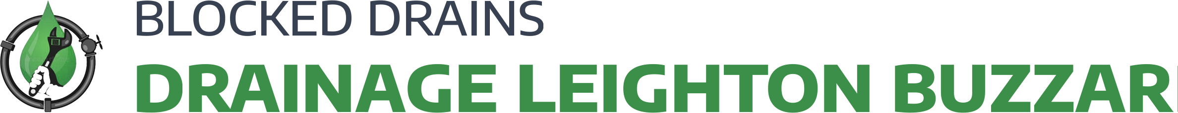 website logo